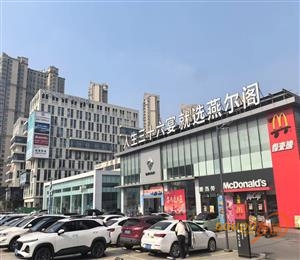 搜铺项目图片
